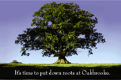 Put Down Roots At Oakbrook